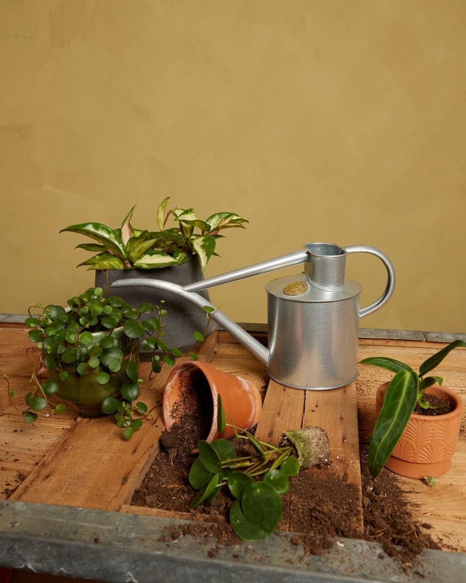 Haws Watering Can Grey 1 liter