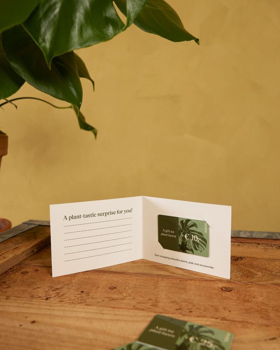 Giftcard 10 euro