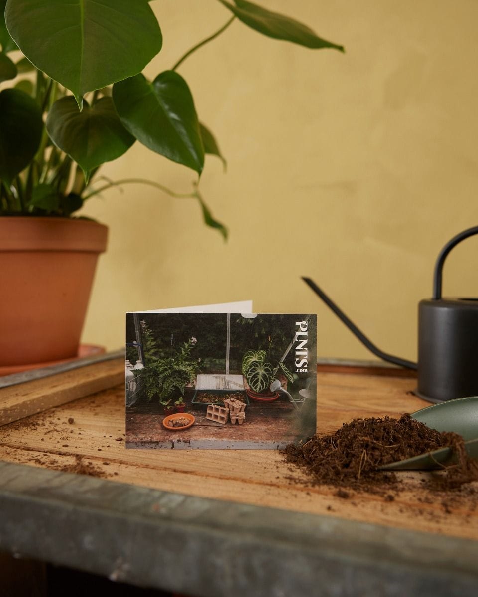 Giftcard 50 euro