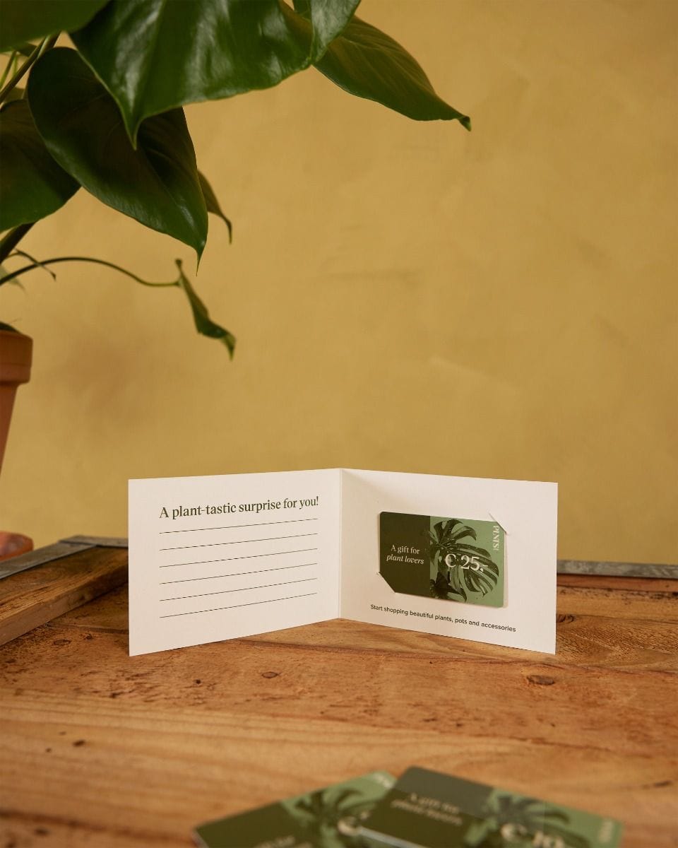 Giftcard 25 euro