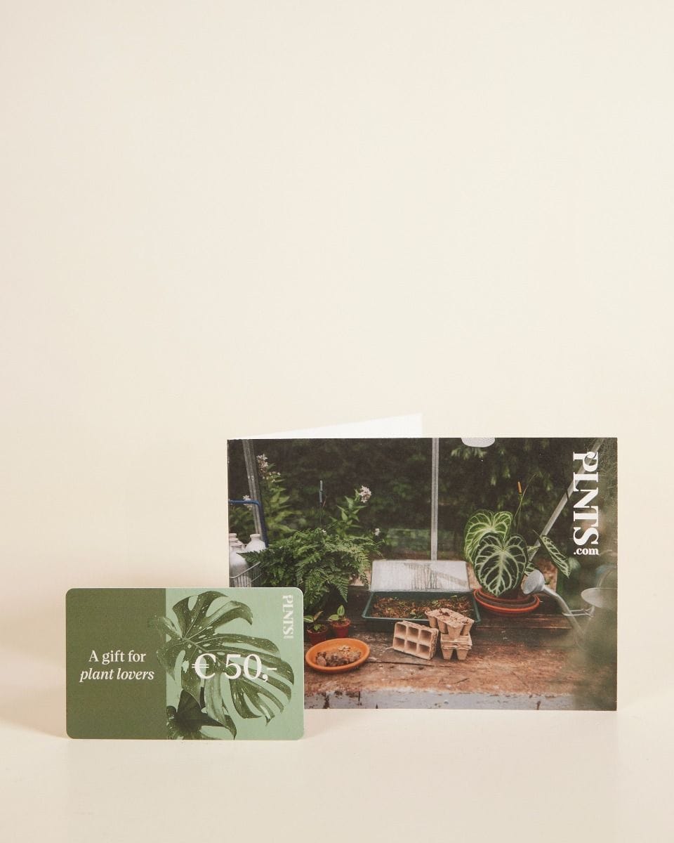 Giftcard 50 euro