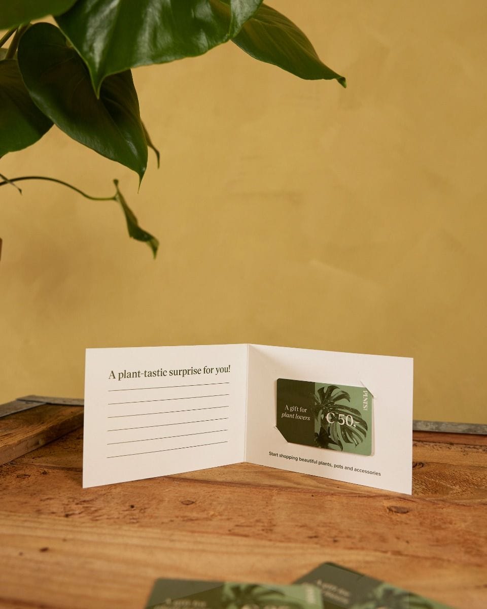 Giftcard 50 euro