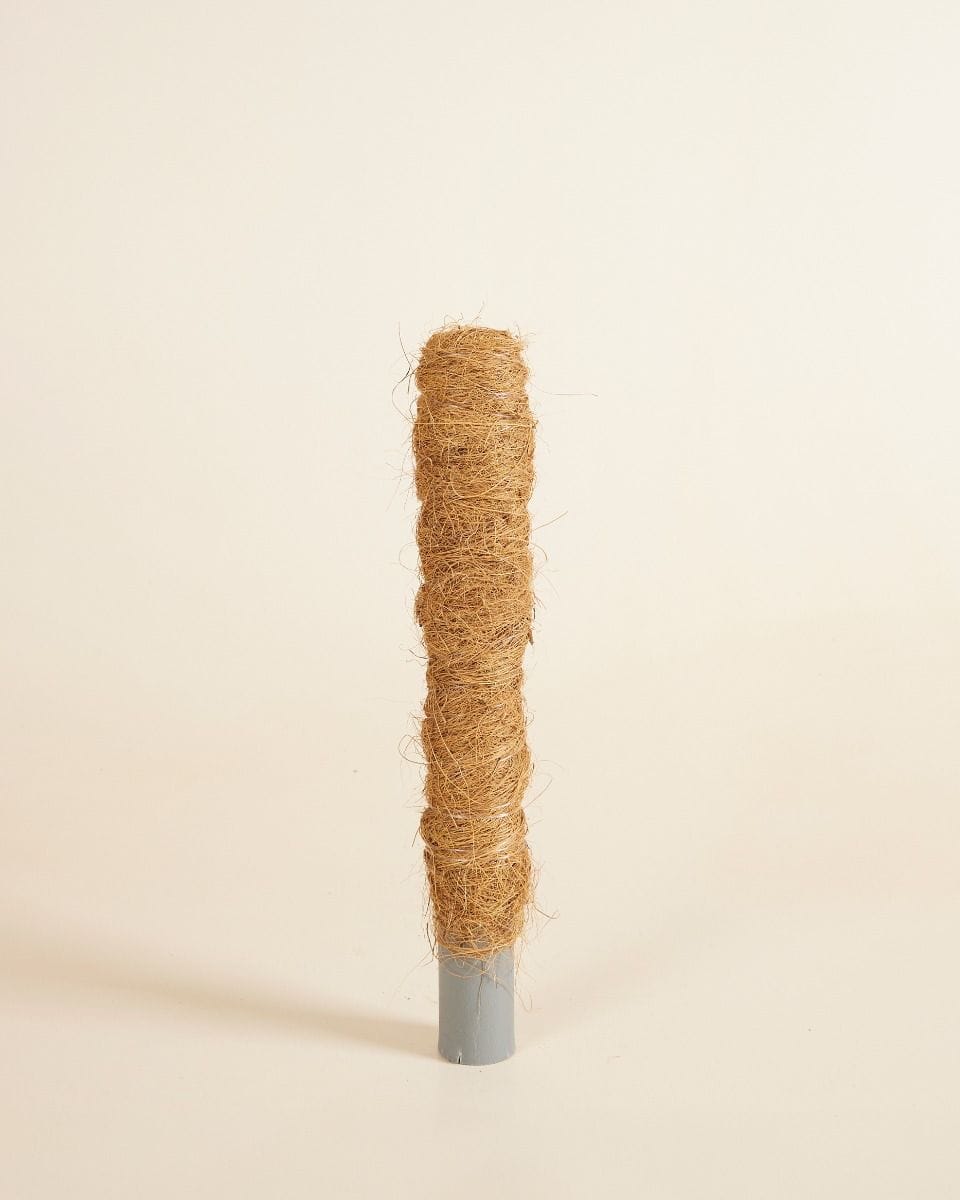 Peter Moss Pole 30 cm