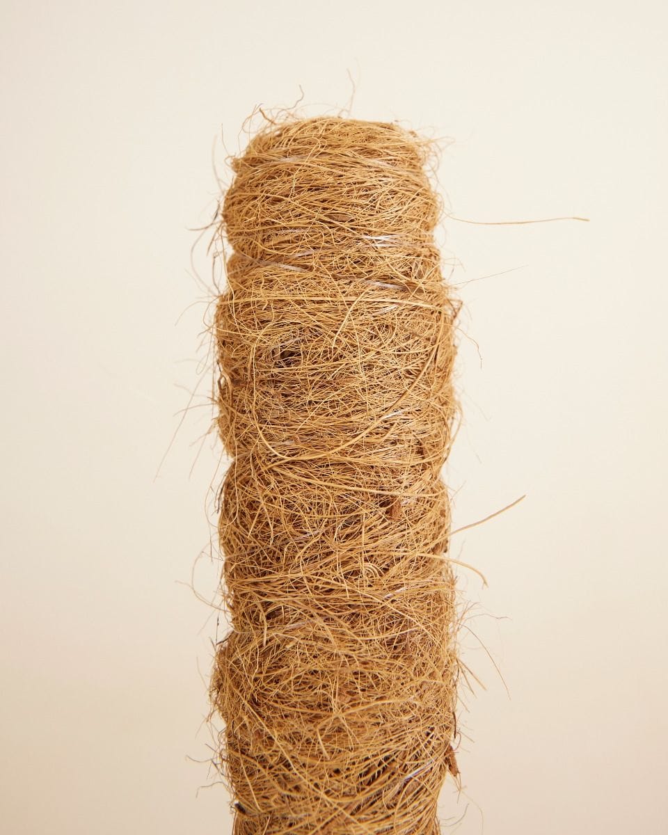 Peter Moss Pole 30 cm