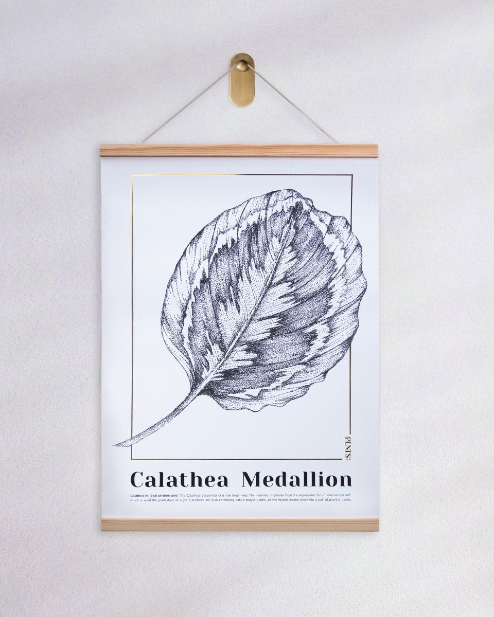 Calathea Medallion Poster 350g premium A2 paper