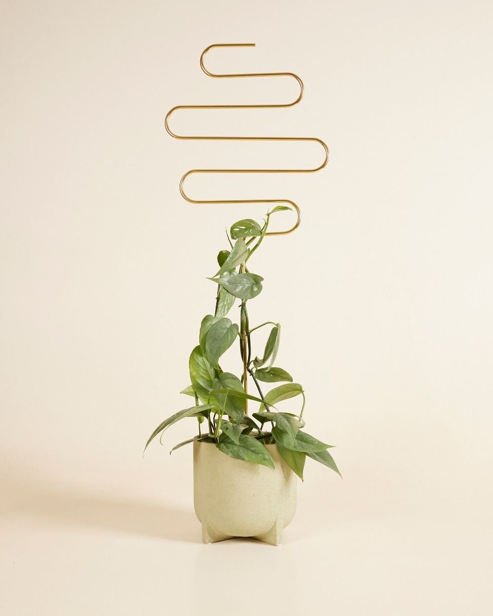Squiggle Plantstake 70 cm