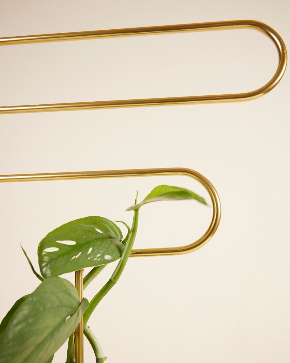 Squiggle Plantstake 70 cm