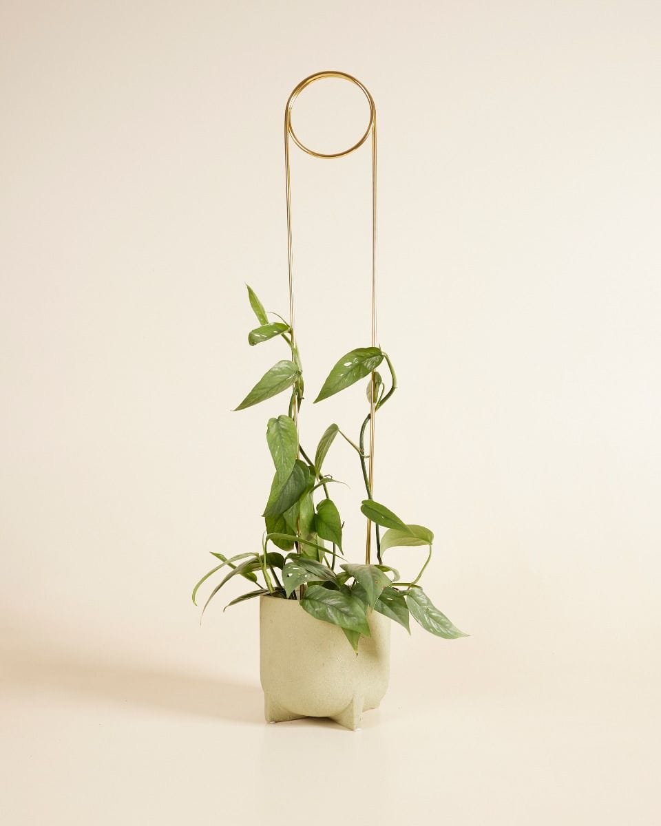 Pin Plantstake 70 cm