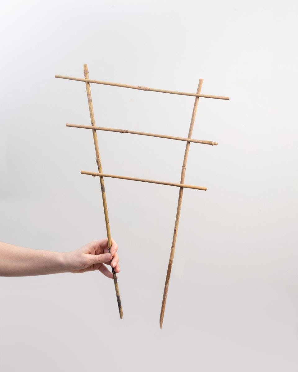 Lily Wooden Rack