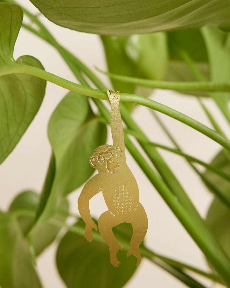 Charly Chimpanzee Plant buddy