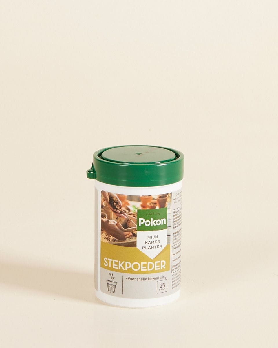 Rooting Powder 25 gram