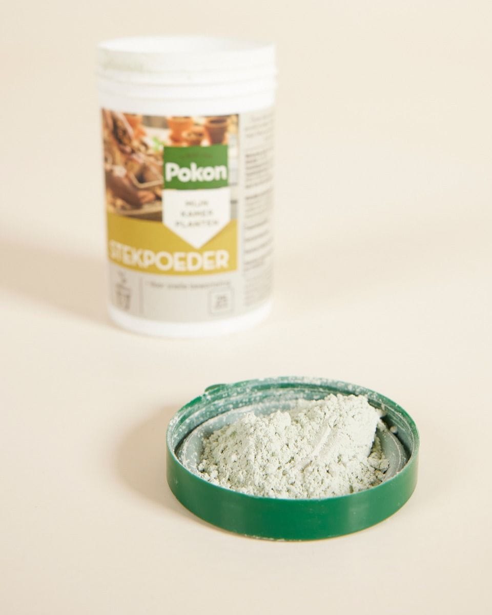 Rooting Powder 25 gram