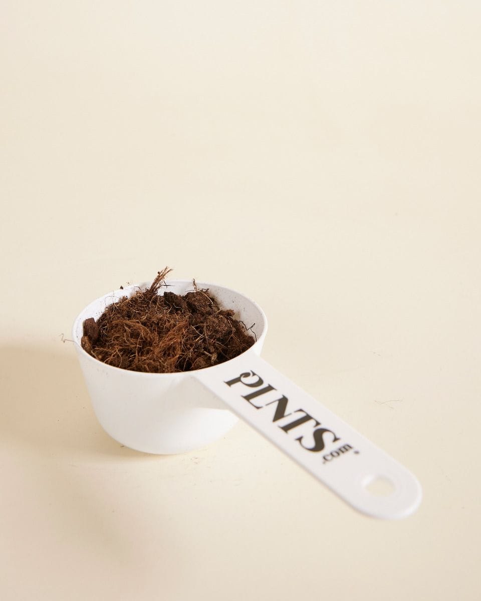 PLNTS Measuring cup 100 ML