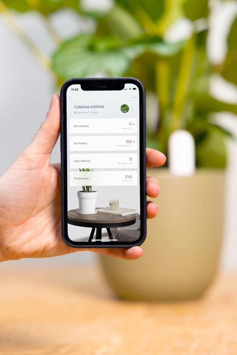 Naomi Plant Sensor Humidity and fertility meter