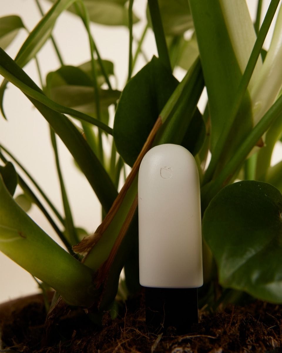 Naomi Plant Sensor Humidity and fertility meter
