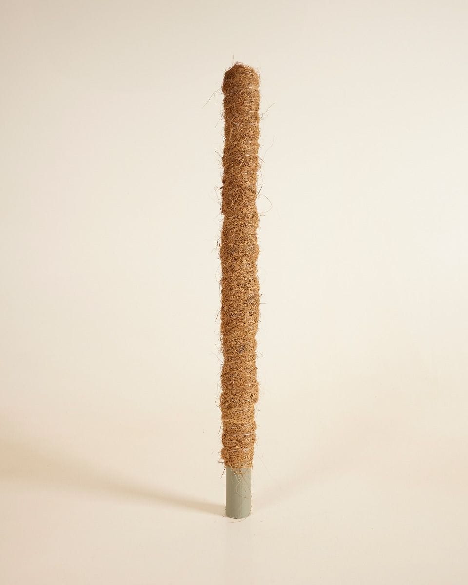 Peter Moss Pole 55cm