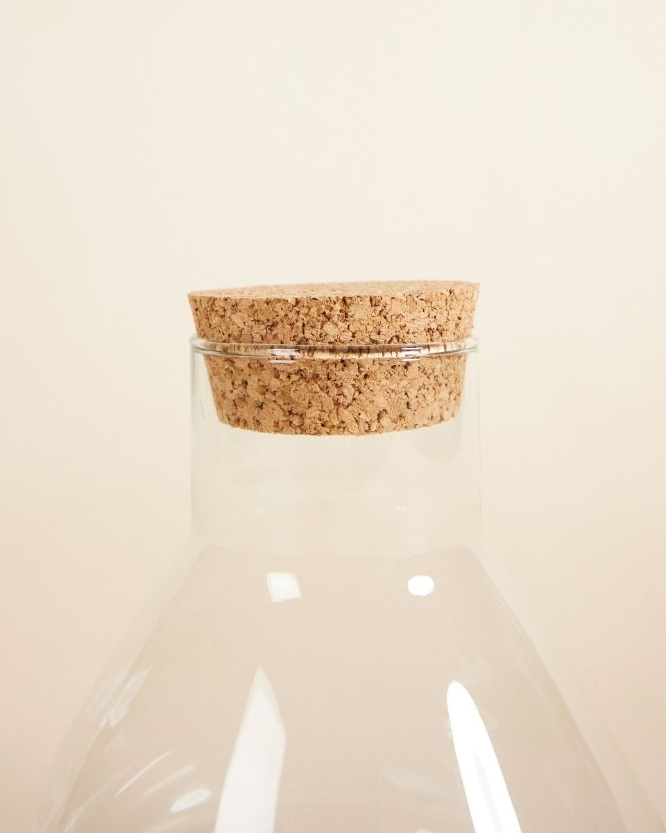 Emily Terrarium Petit Ø 17 cm