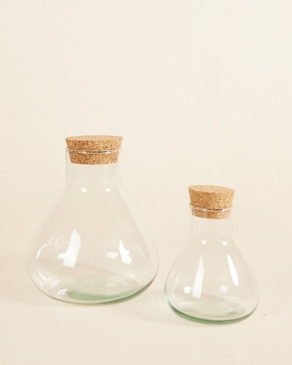 Emily Terrarium Petit Ø 17 cm