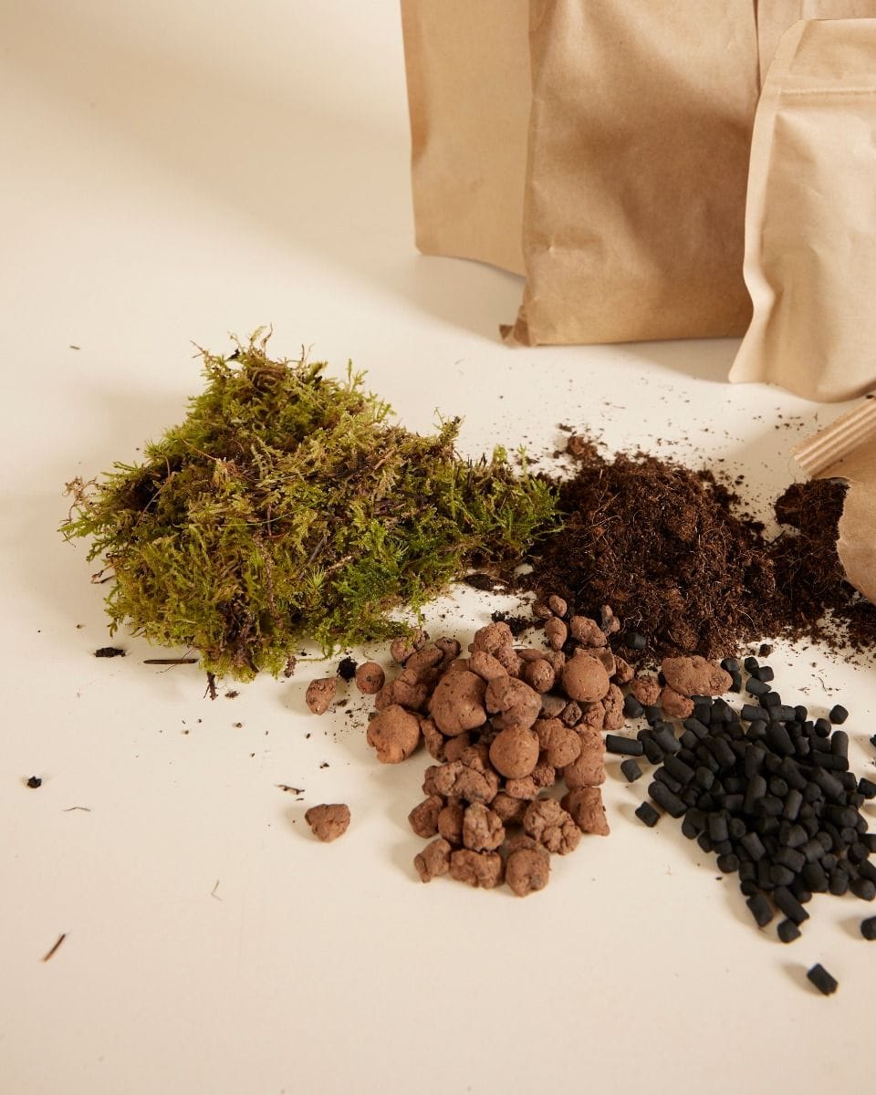 Emily Terrarium Starter Kit
