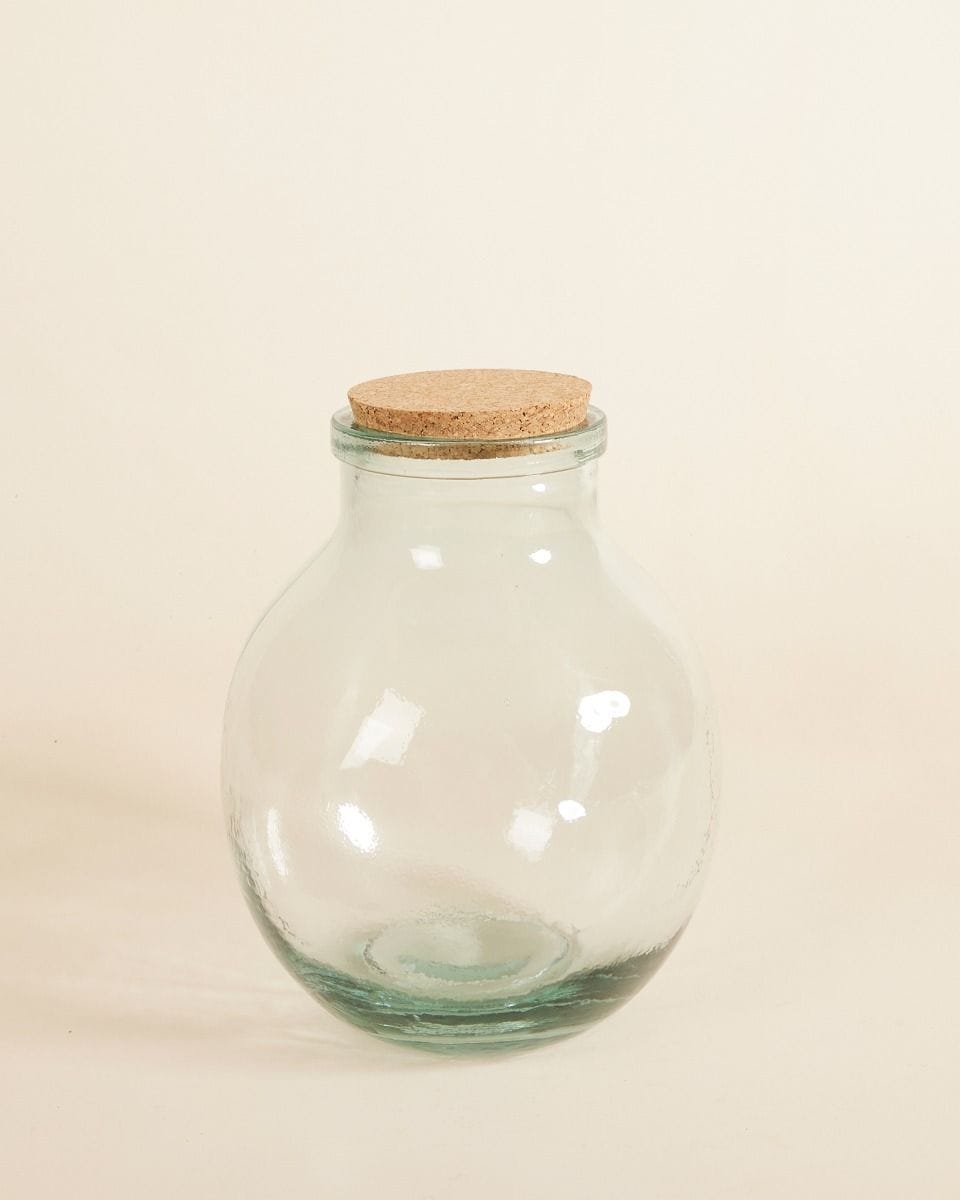 Olly Terrarium Medium Ø 21 cm