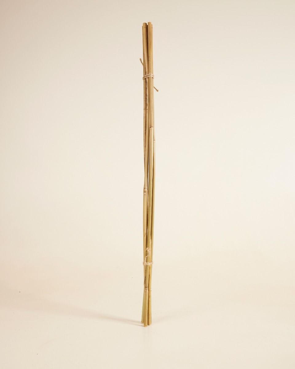 Bamboo Stick 70 cm 5 pieces