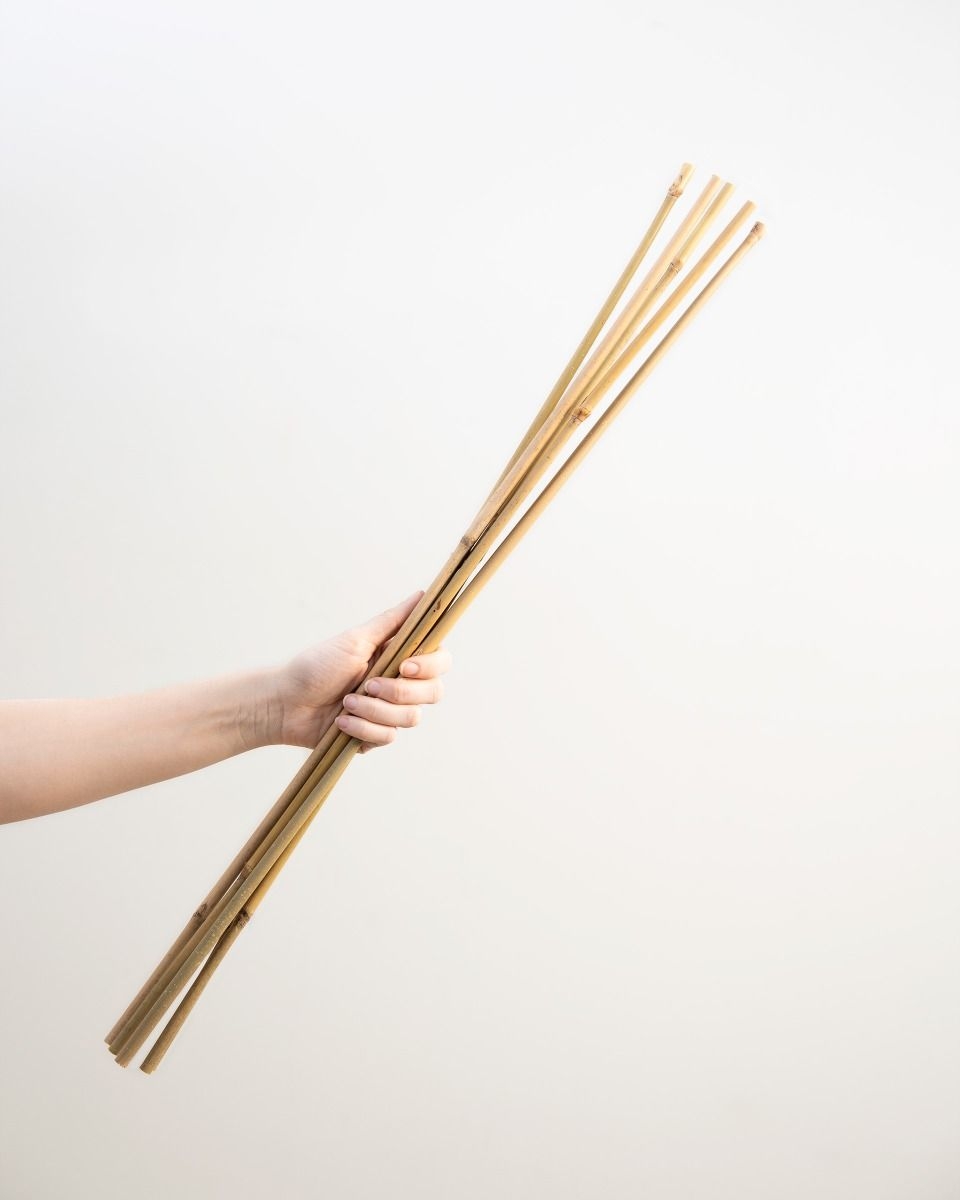 Bâton de bambou 70 cm