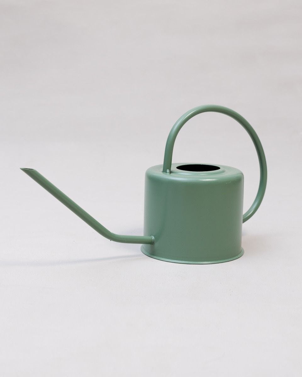 Ancho Watering Can