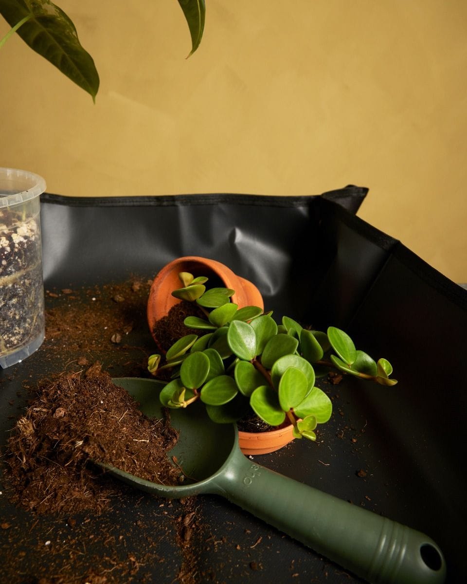 Potting Mat
