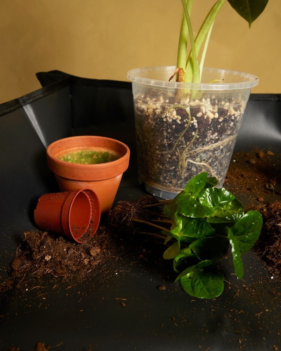 Potting Mat