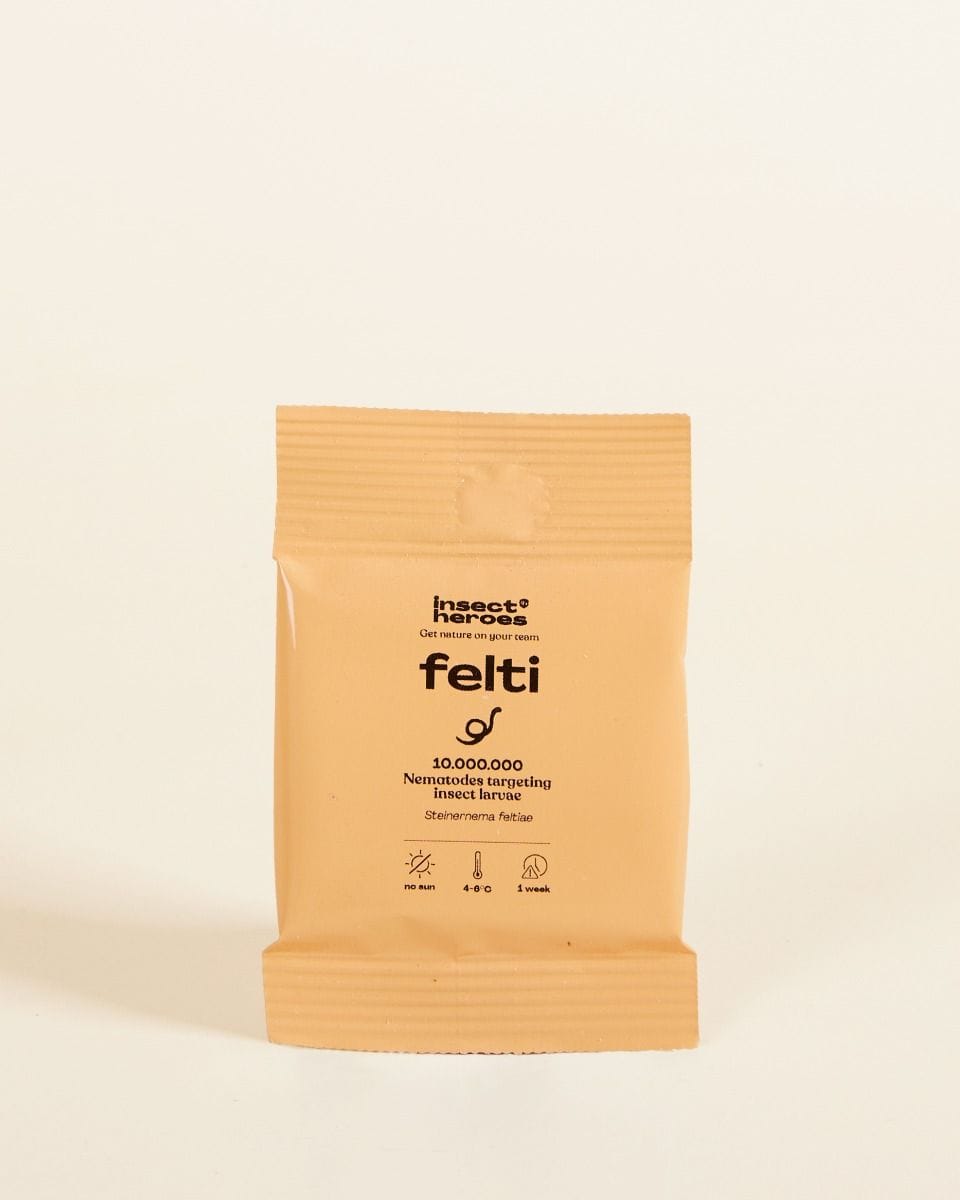 Biological pest control: fungus gnats Felti