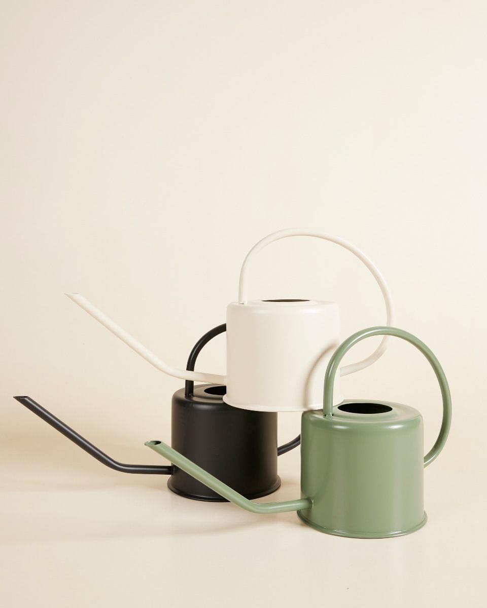 Ancho Watering Can Off White 1.2 litro