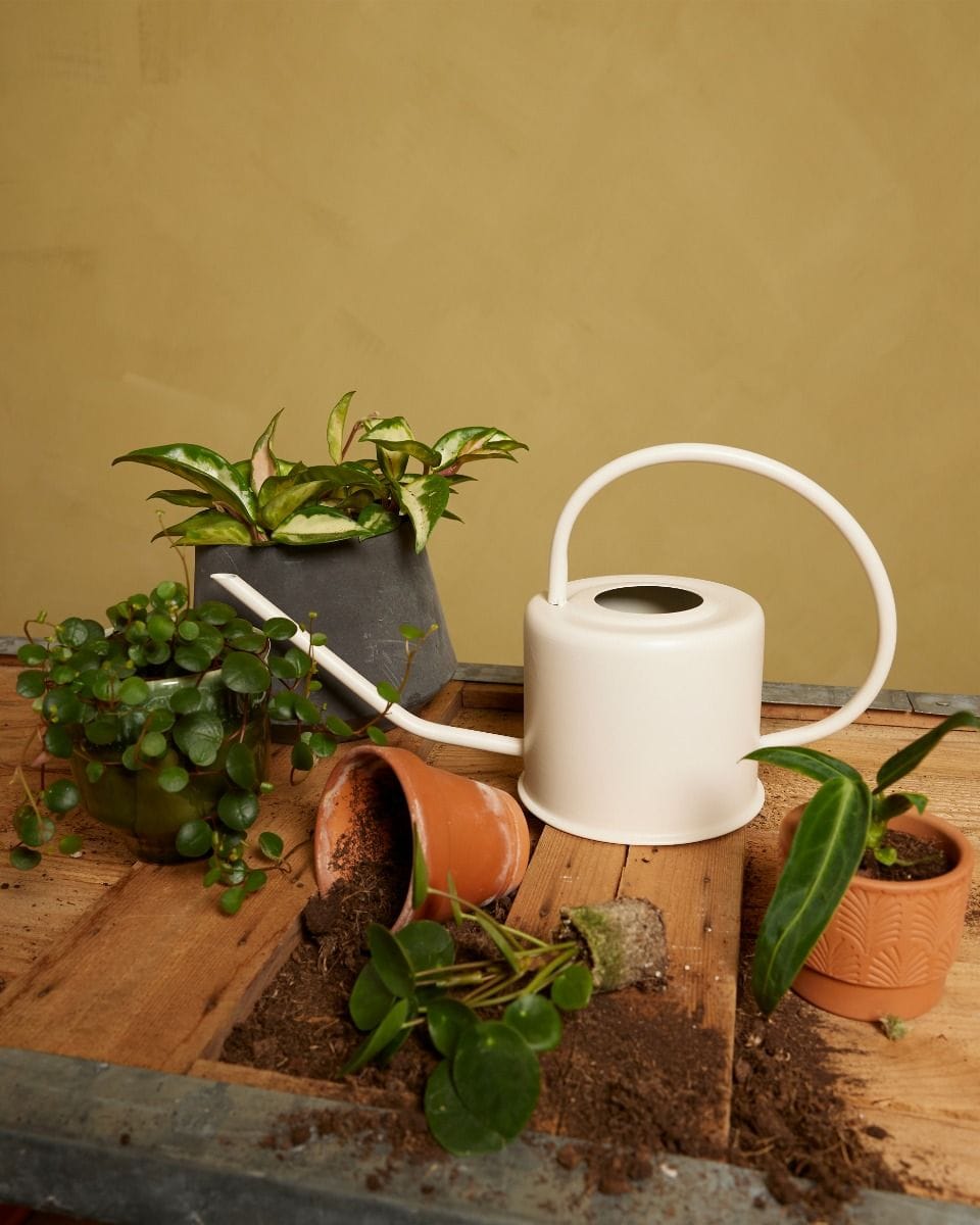 Ancho Watering Can Off White 1.2 litro