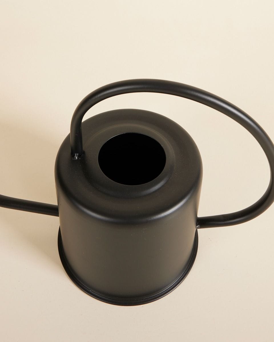 Ancho Watering Can Black 1.2 liter