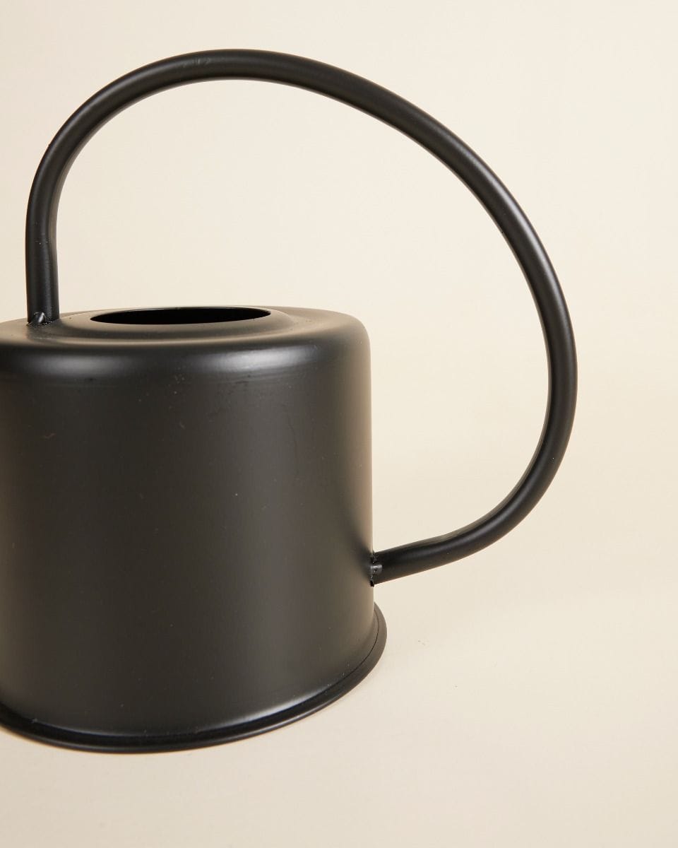 Ancho Watering Can Black 1.2 liter