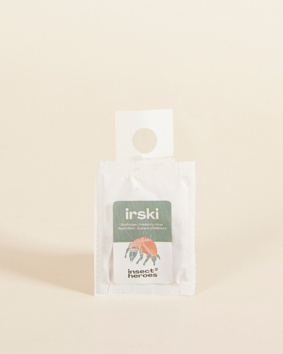 Biological pest control: thrips Irski (set of 5)