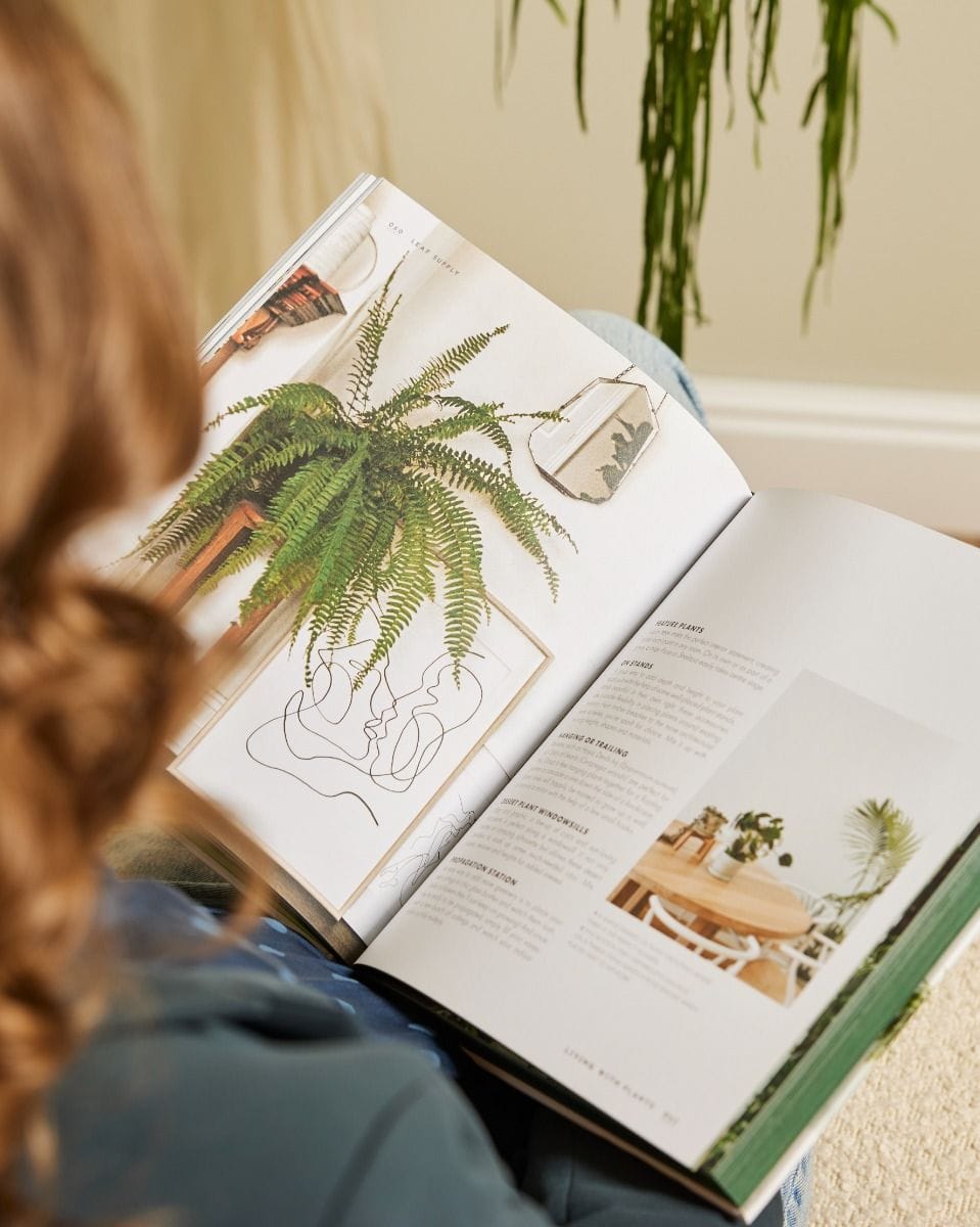 Leaf Supply (EN) Book