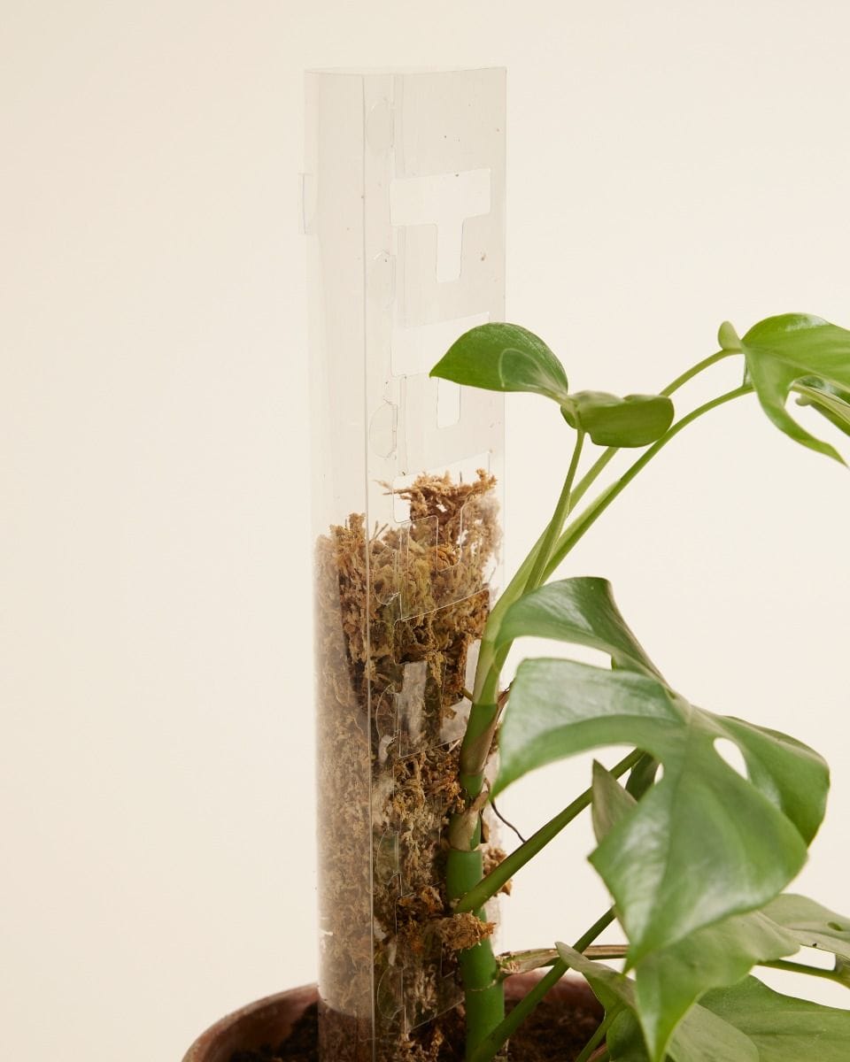 THICCLY Casper Climbing Pole (3.0) 40 cm
