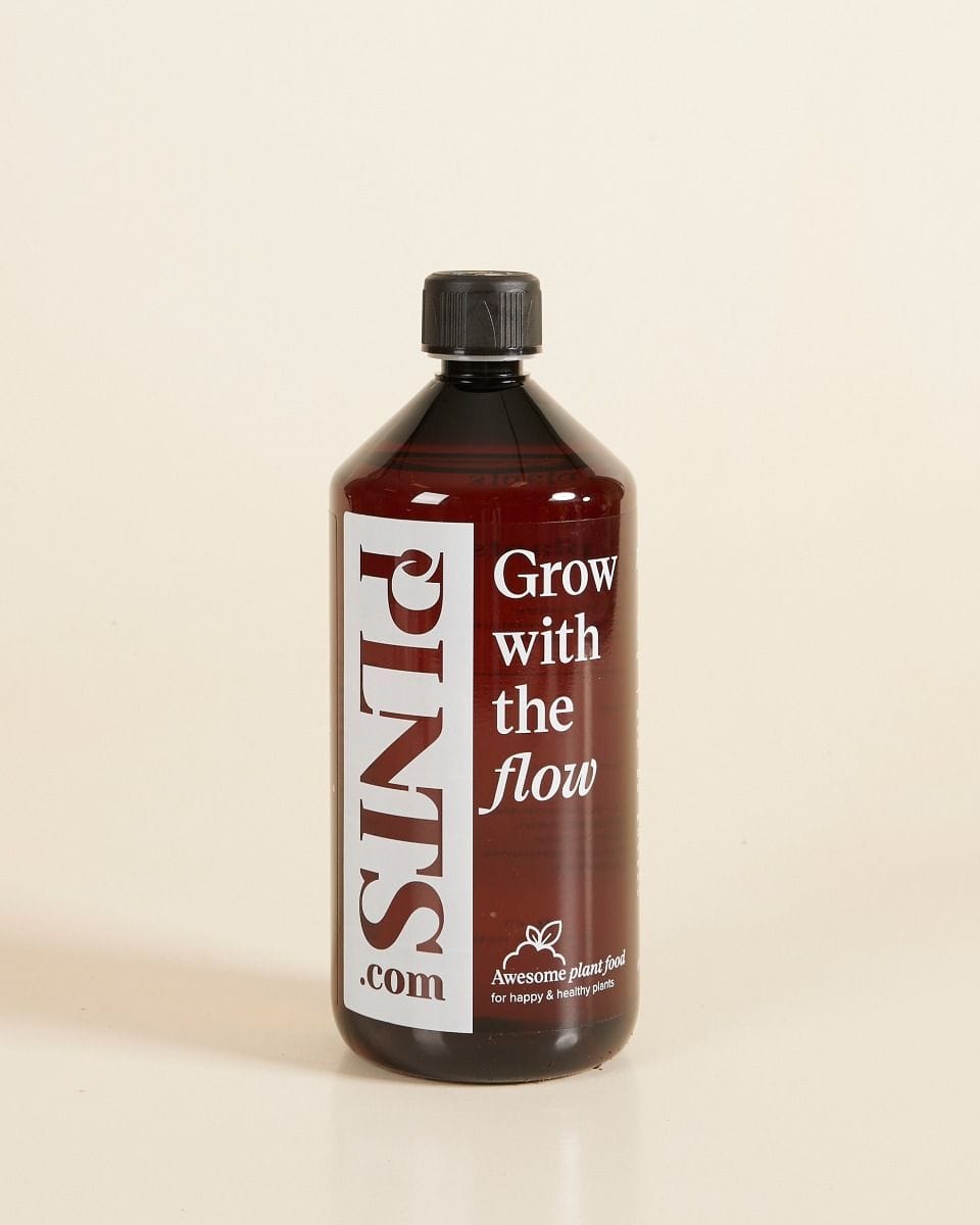 PLNTS Nutrition 1 litro
