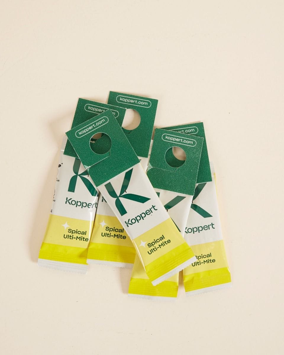 Biological pest control: spider mites Nicus (set of 5)