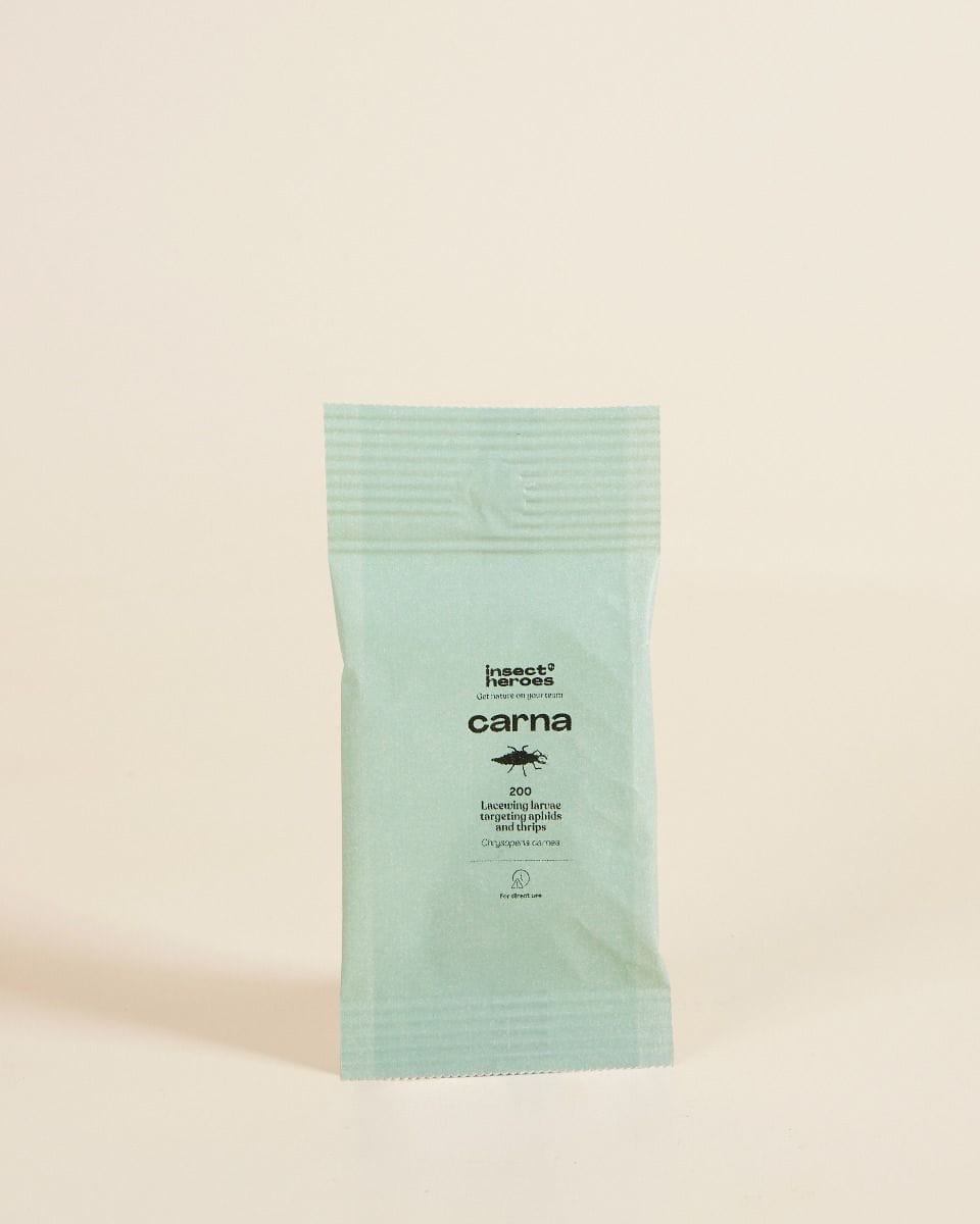 Biological pest control: thrips Carna