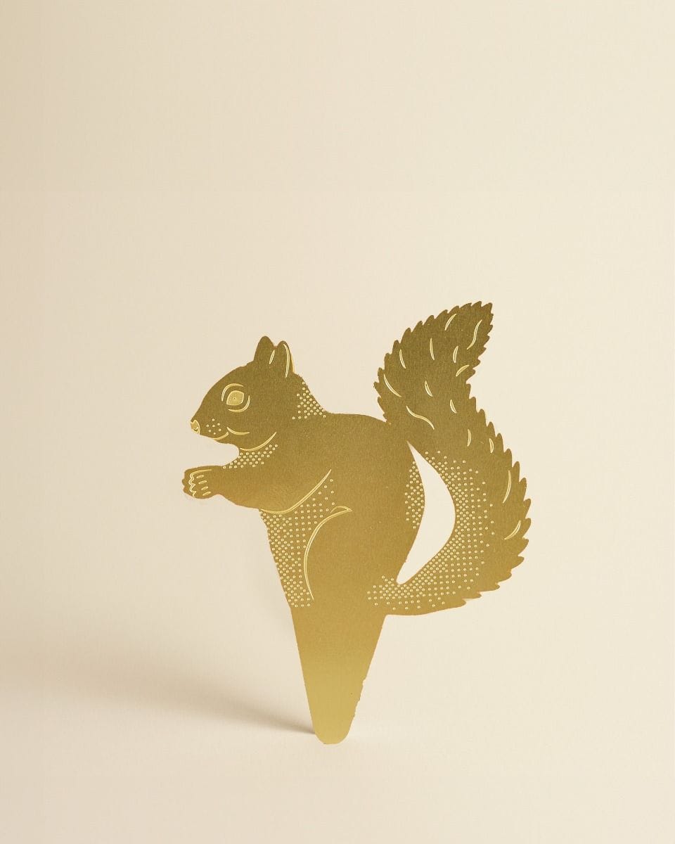Sandy Squirrel Plant buddy