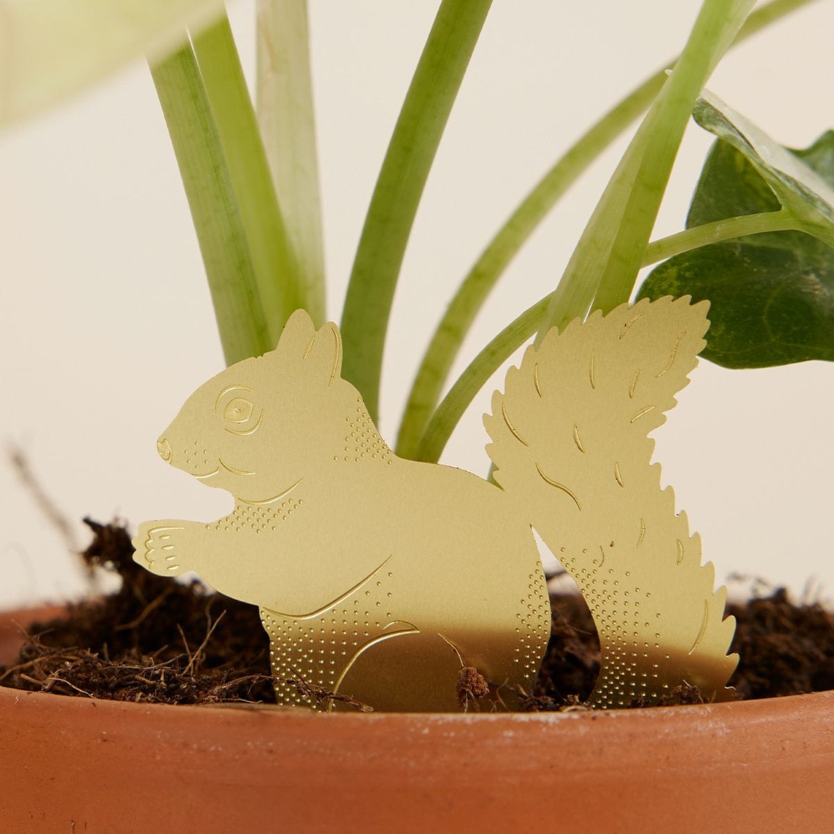 Sandy Squirrel Plant buddy