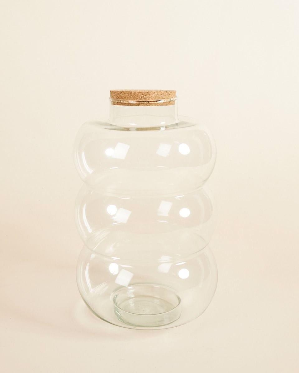 Bello Terrarium Medium Ø 21 cm