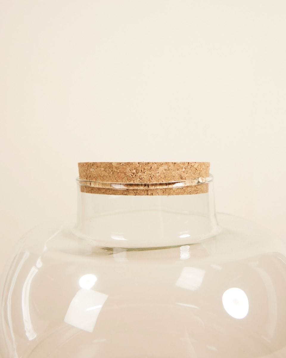 Bello Terrarium Medium Ø 21 cm