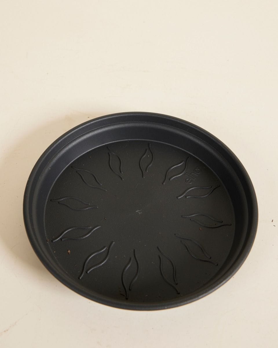 Elho Hagrid Plant Saucer Ø 14 cm