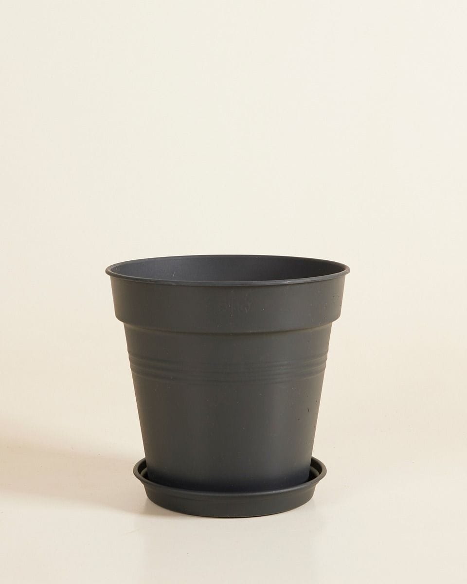 Elho Hagrid Plant Saucer Ø 14 cm