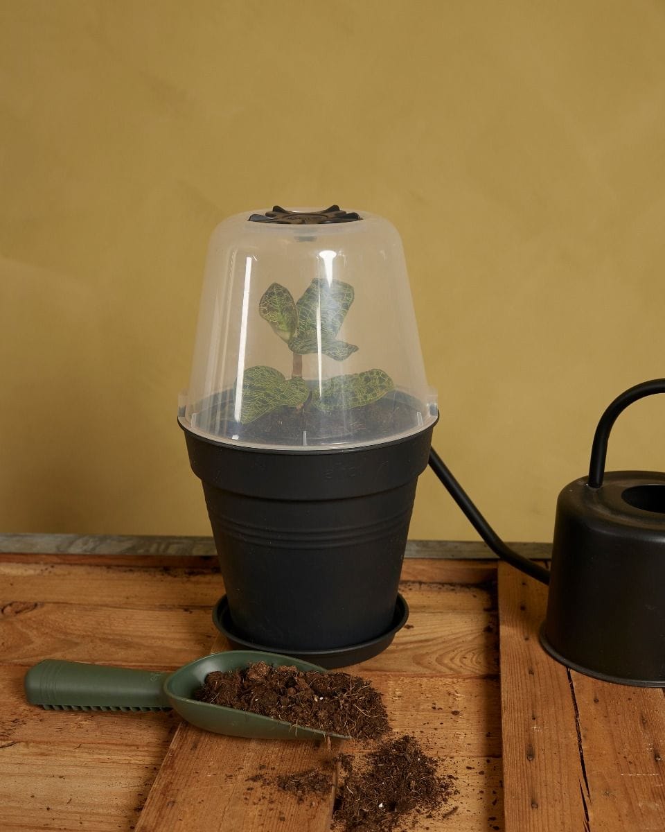Elho Hagrid Plant Saucer Ø 14 cm