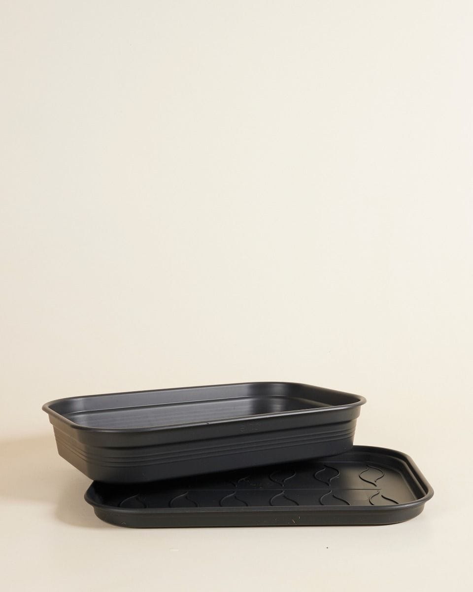Elho Hagrid Grow Tray Productset
