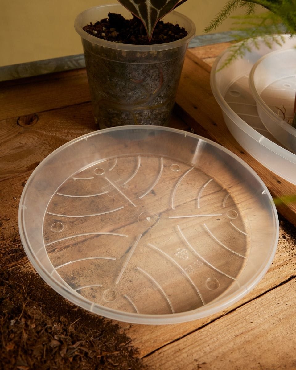 Plant Saucer Transparent Ø 21 cm