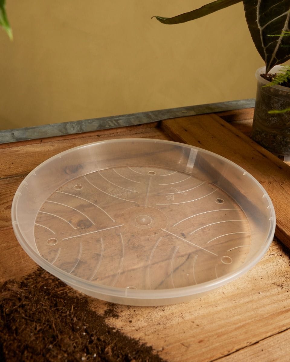 Plantenschotel Transparant Ø 27 cm